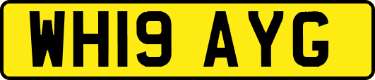 WH19AYG