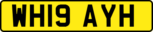 WH19AYH