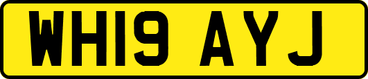 WH19AYJ