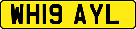 WH19AYL