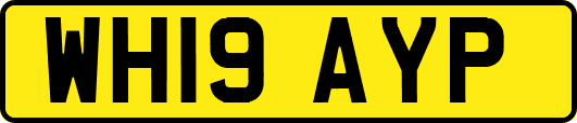 WH19AYP