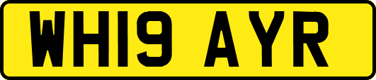 WH19AYR