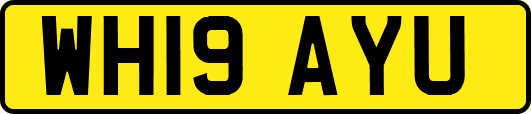WH19AYU