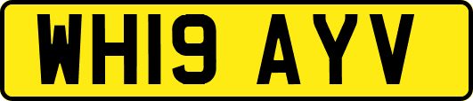 WH19AYV