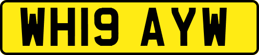 WH19AYW