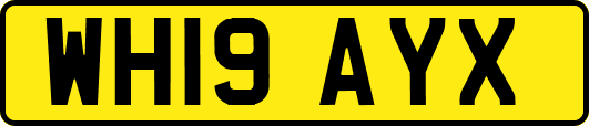 WH19AYX