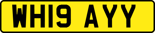 WH19AYY