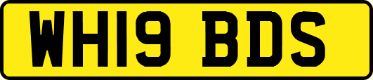 WH19BDS