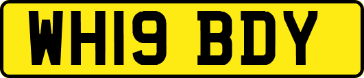 WH19BDY