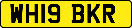 WH19BKR