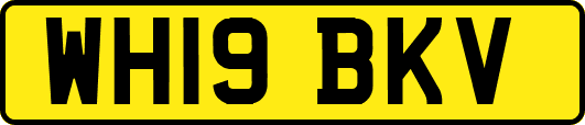 WH19BKV