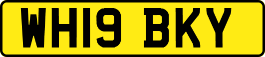 WH19BKY