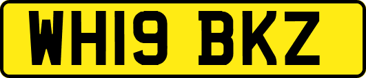 WH19BKZ