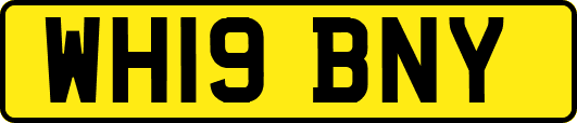 WH19BNY