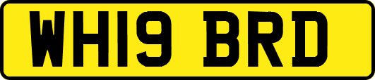 WH19BRD