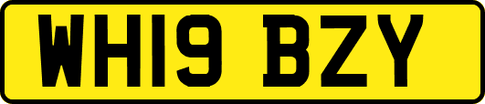 WH19BZY