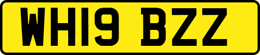 WH19BZZ