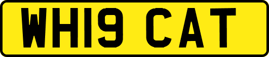 WH19CAT