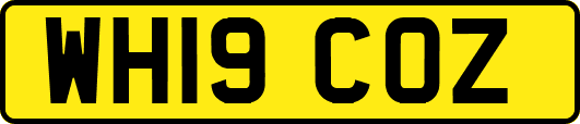 WH19COZ