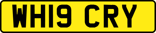 WH19CRY