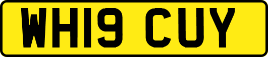 WH19CUY
