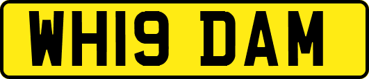 WH19DAM