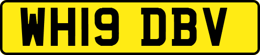 WH19DBV