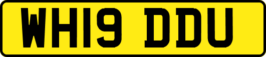 WH19DDU