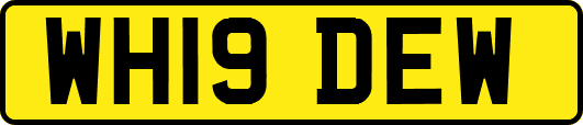 WH19DEW