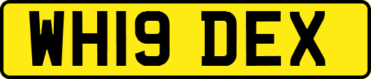 WH19DEX