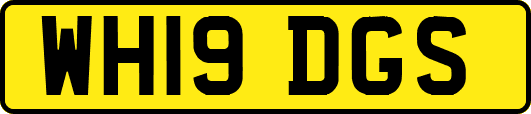 WH19DGS
