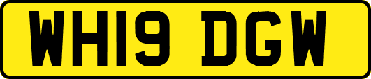 WH19DGW
