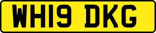 WH19DKG