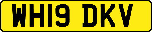 WH19DKV