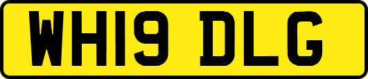 WH19DLG