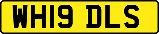 WH19DLS