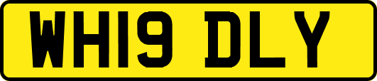 WH19DLY