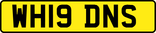 WH19DNS