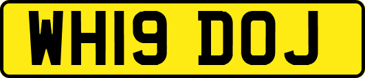 WH19DOJ