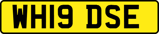 WH19DSE