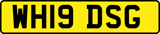 WH19DSG