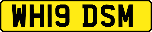WH19DSM