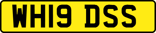 WH19DSS