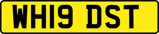 WH19DST