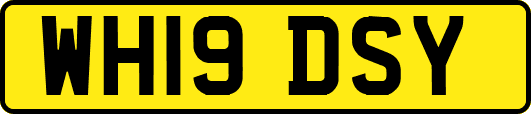 WH19DSY