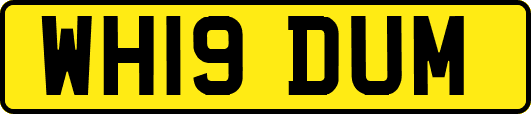 WH19DUM