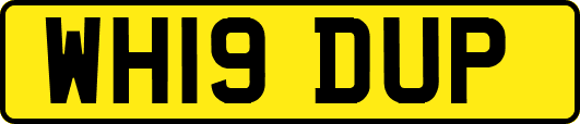WH19DUP