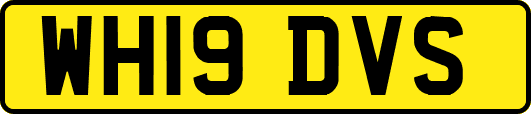 WH19DVS