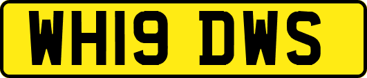 WH19DWS