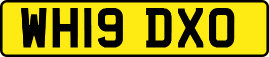 WH19DXO